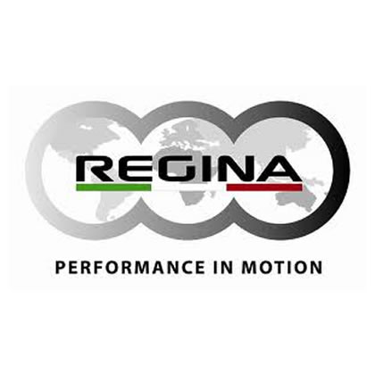 Regina-chain-1